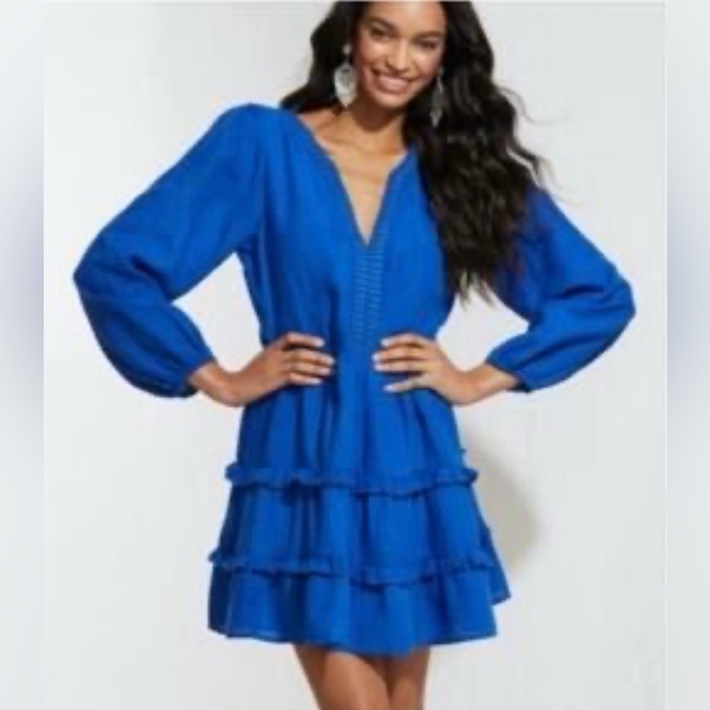 Roberta Roller Rabbit Blue Dress Fully Lined, Long Sleeves, patties graduation